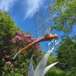 Dragonfly Sculpture Thrussels